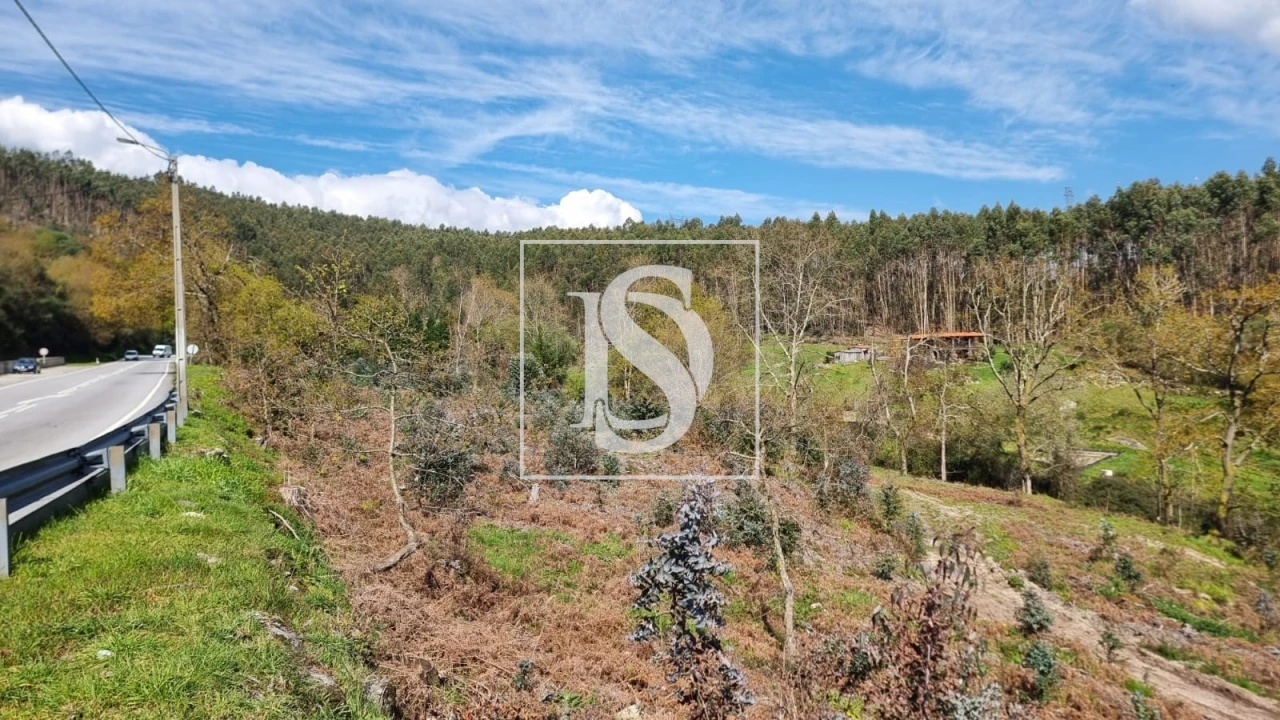 Terreno para Venda em Calvos e Frades Foto 5