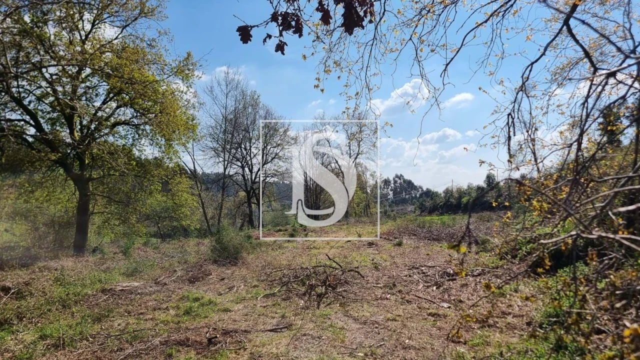 Terreno para Venda em Calvos e Frades Foto 54