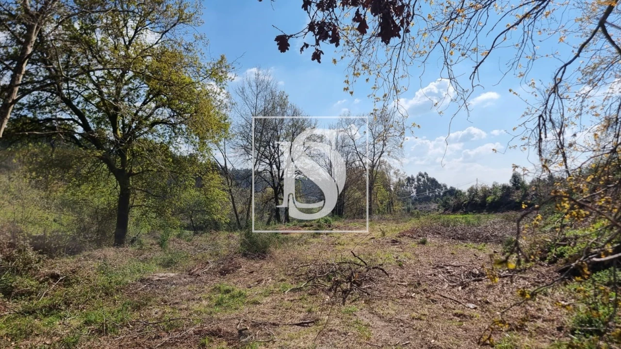 Terreno para Venda em Calvos e Frades Foto 56