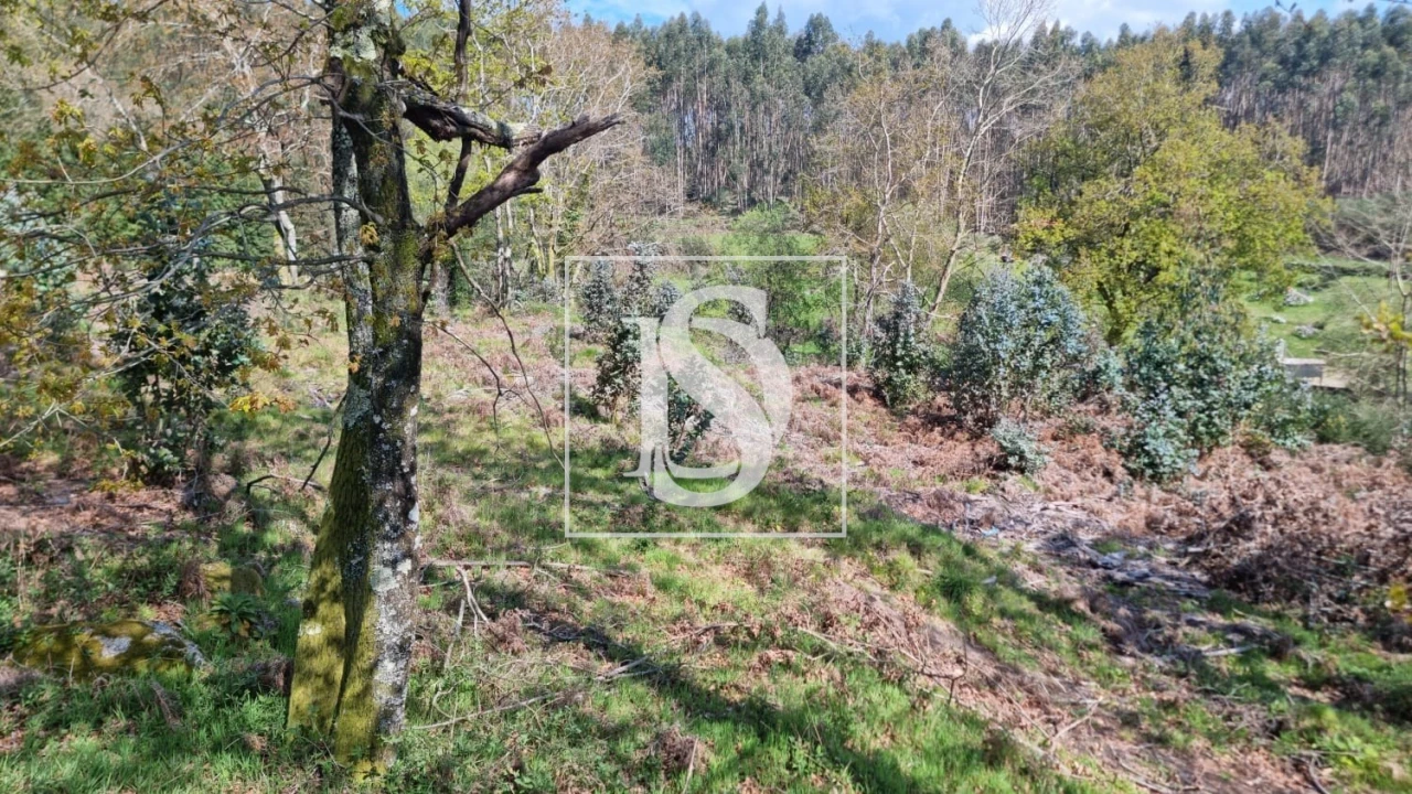 Terreno para Venda em Calvos e Frades Foto 51