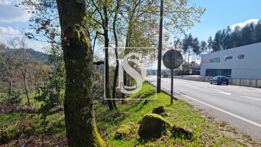 Terreno para Venda em Calvos e Frades Foto 48