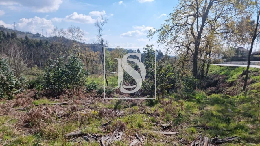 Terreno para Venda em Calvos e Frades Foto 49