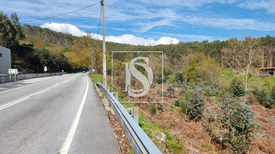 Terreno para Venda em Calvos e Frades Foto 3