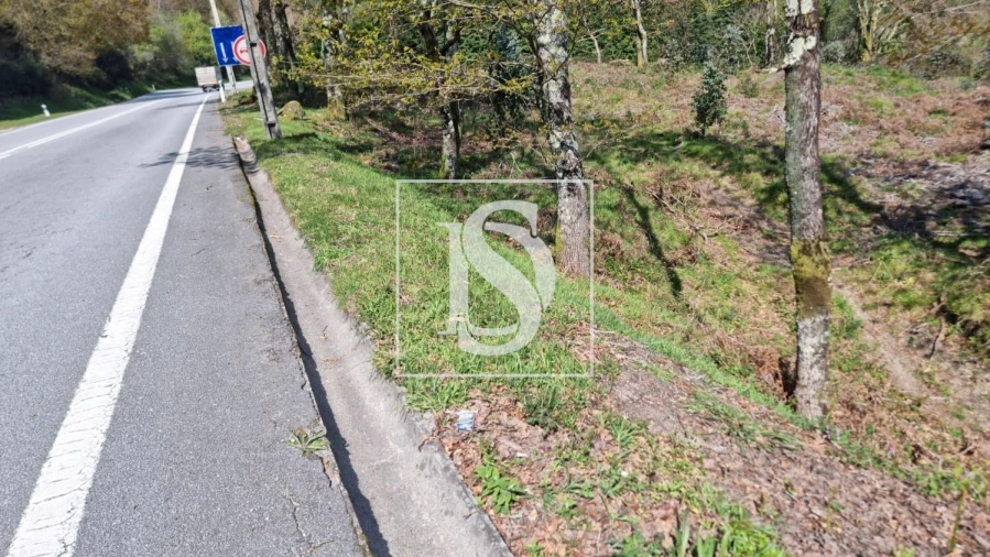 Terreno para Venda em Calvos e Frades Foto 47