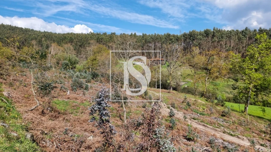 Terreno para Venda em Calvos e Frades Foto 8