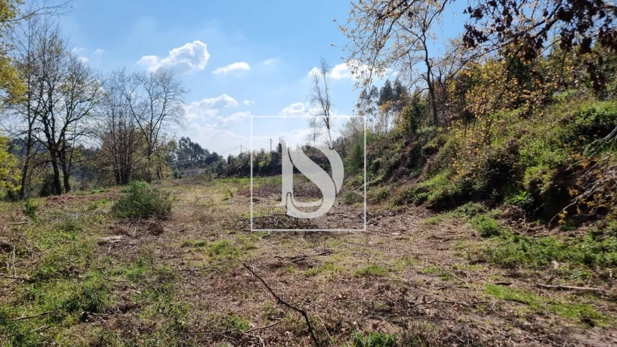 Terreno para Venda em Calvos e Frades Foto 26