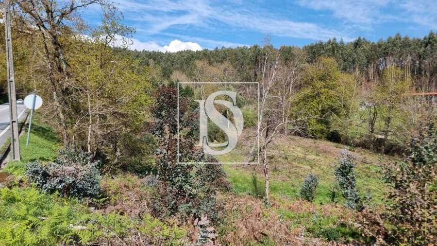 Terreno para Venda em Calvos e Frades Foto 2