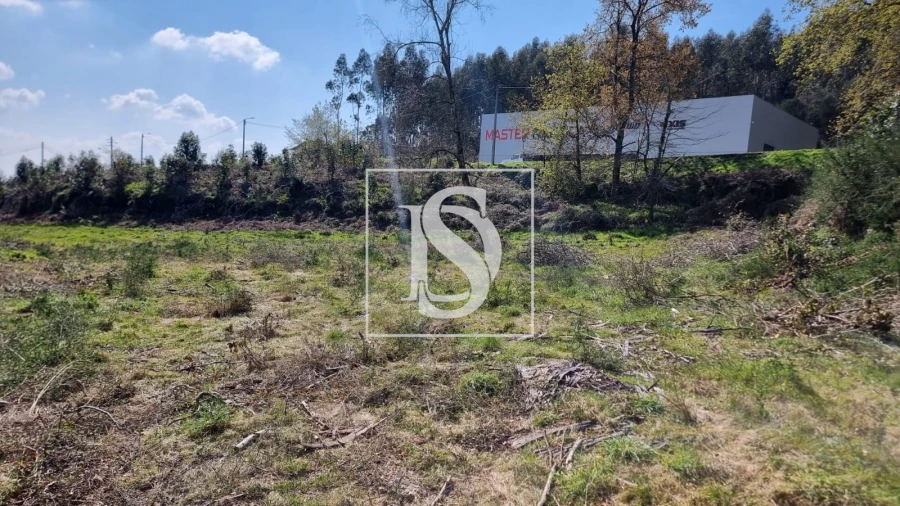 Terreno para Venda em Calvos e Frades Foto 24