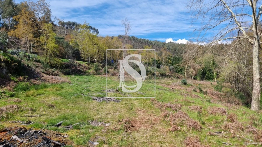 Terreno para Venda em Calvos e Frades Foto 17