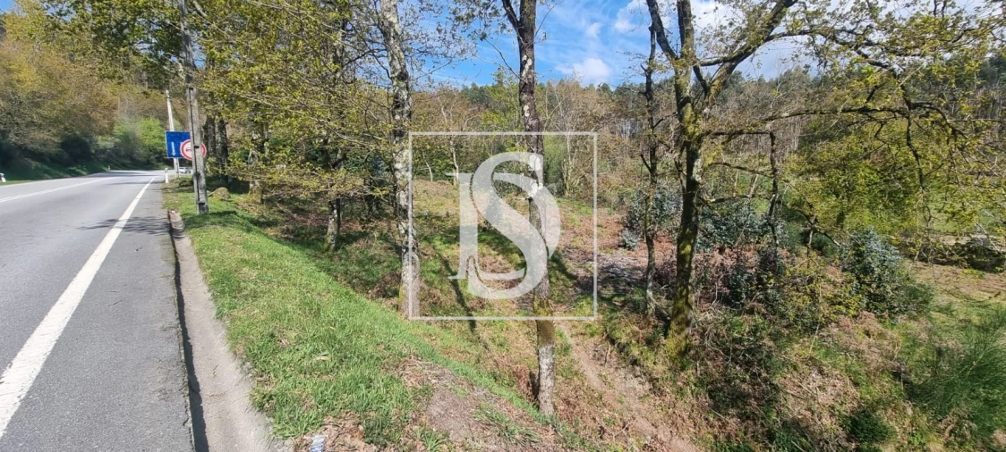 Terreno para Venda em Calvos e Frades Foto 45