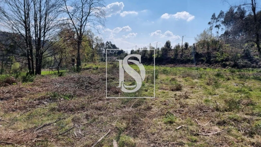 Terreno para Venda em Calvos e Frades Foto 21