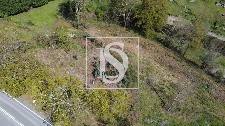 Terreno para Venda em Calvos e Frades Foto 29