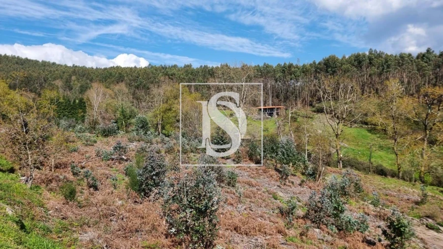 Terreno para Venda em Calvos e Frades Foto 9