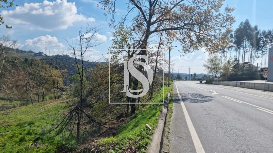 Terreno para Venda em Calvos e Frades Foto 50
