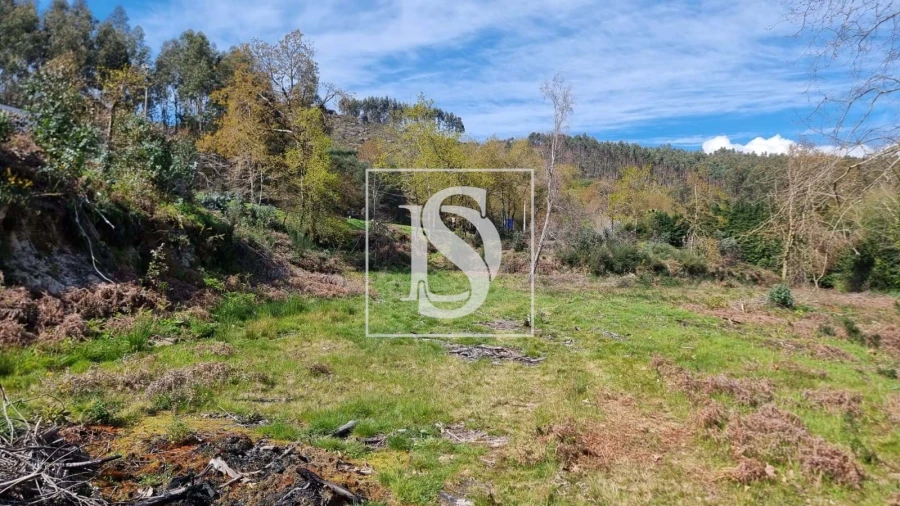 Terreno para Venda em Calvos e Frades Foto 19