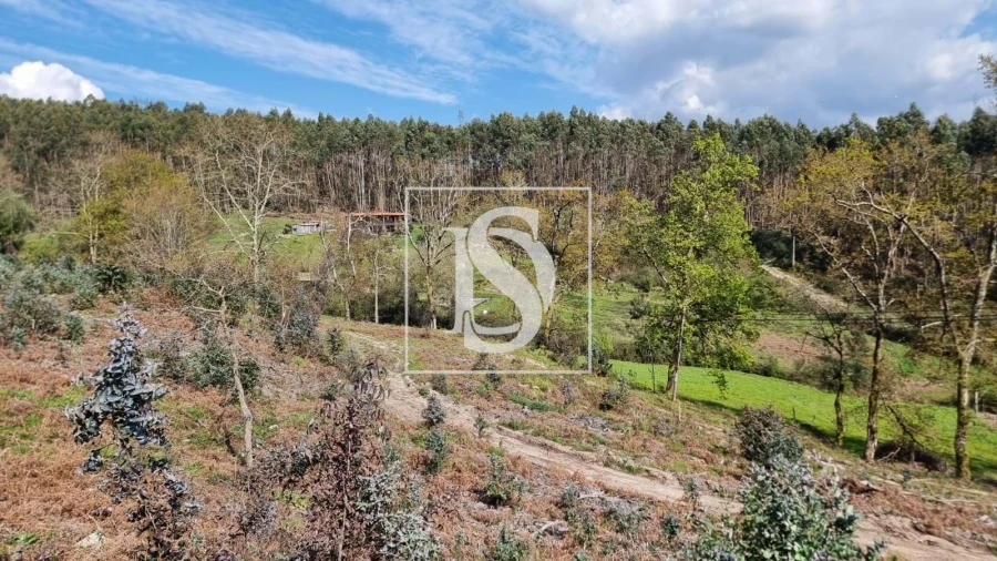 Terreno para Venda em Calvos e Frades Foto 6