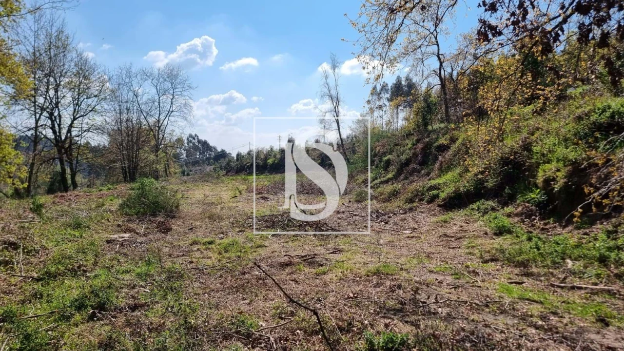 Terreno para Venda em Calvos e Frades Foto 25