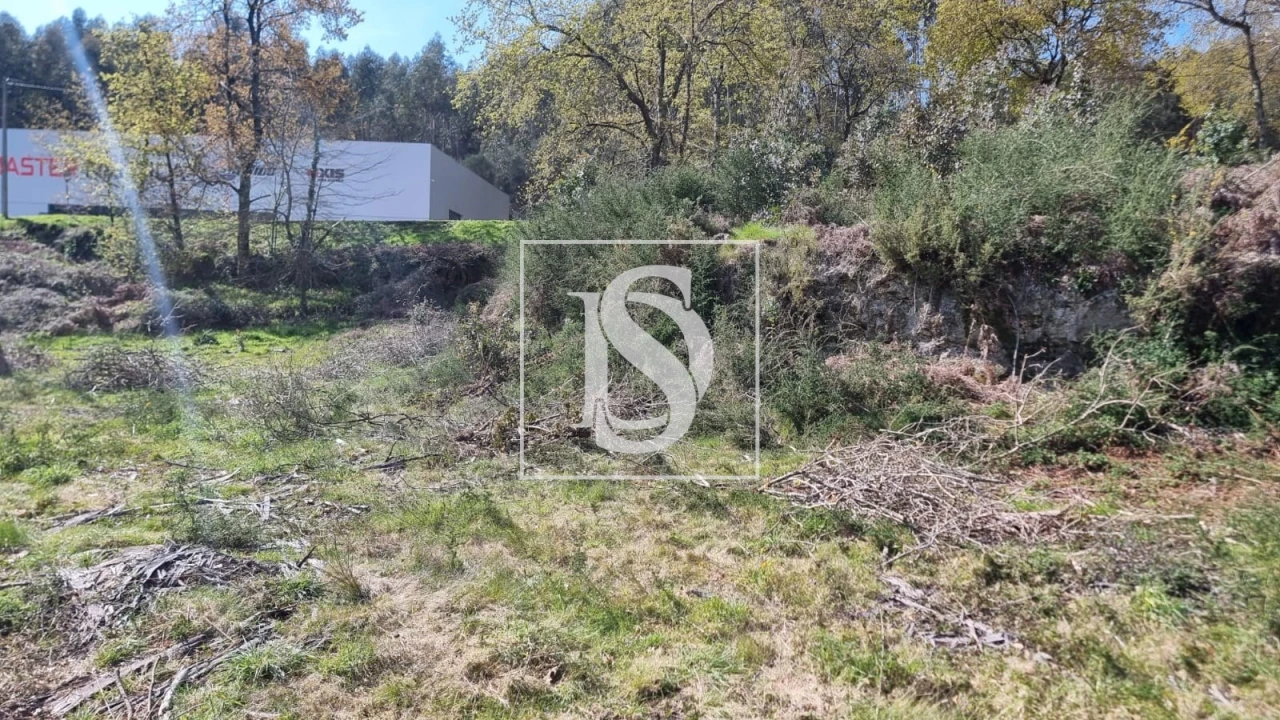 Terreno para Venda em Calvos e Frades Foto 22