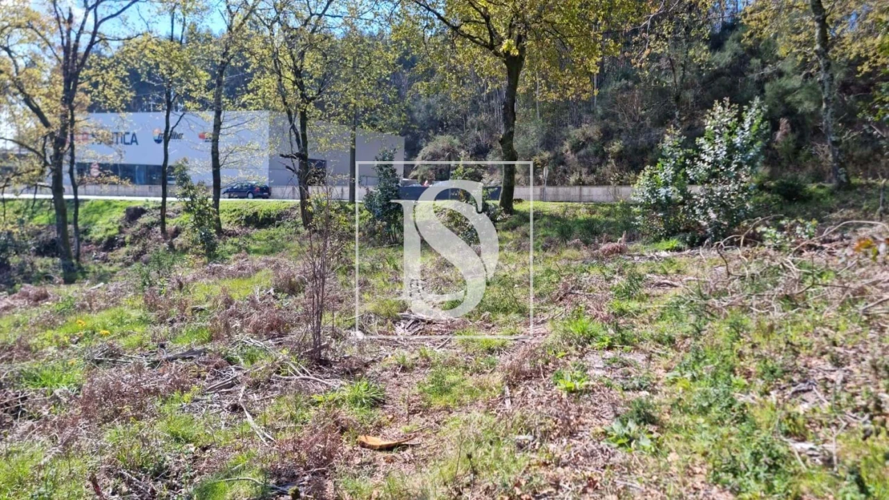 Terreno para Venda em Calvos e Frades Foto 55