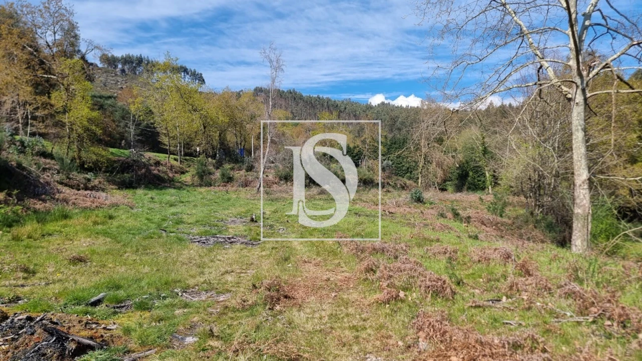 Terreno para Venda em Calvos e Frades Foto 23