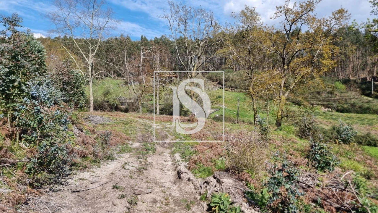 Terreno para Venda em Calvos e Frades Foto 10