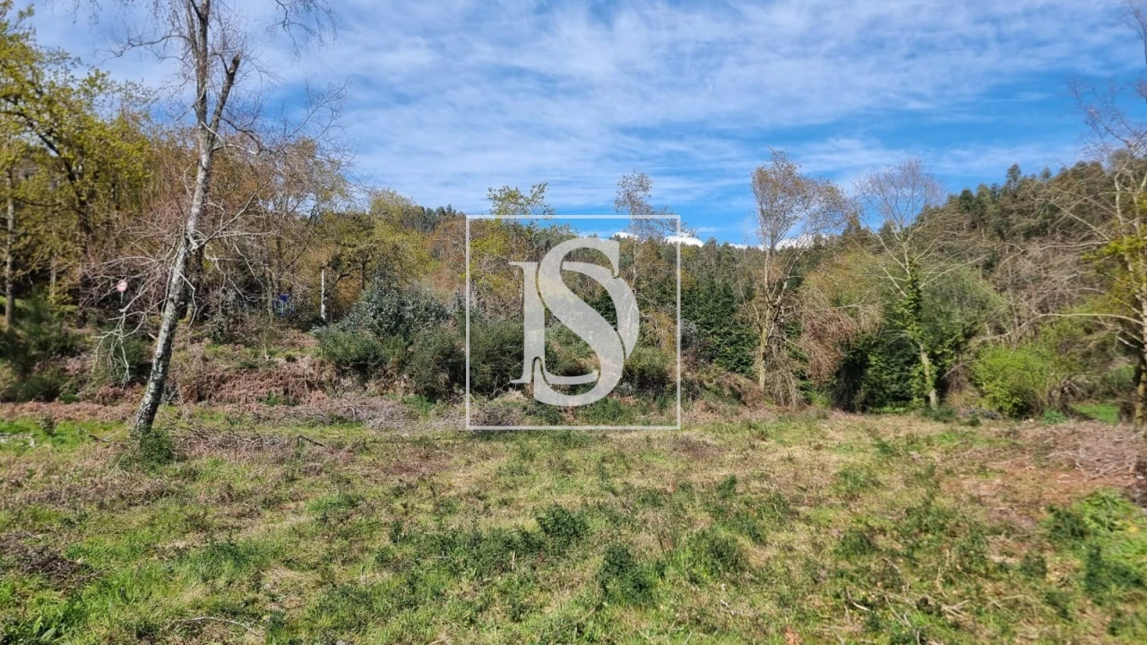 Terreno para Venda em Calvos e Frades Foto 18