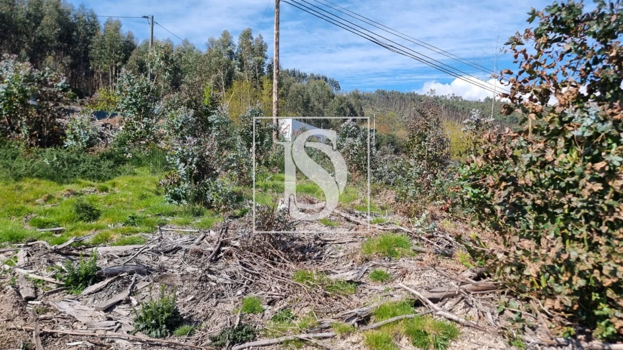 Terreno para Venda em Calvos e Frades Foto 16