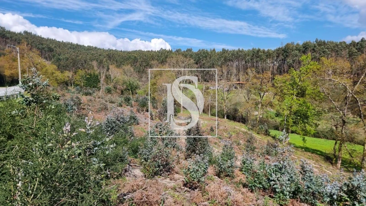 Terreno para Venda em Calvos e Frades Foto 14