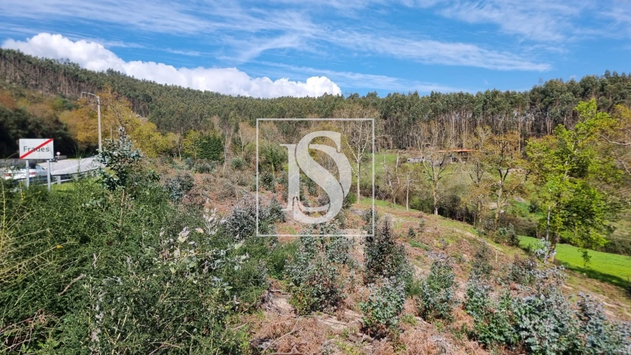 Terreno para Venda em Calvos e Frades Foto 7