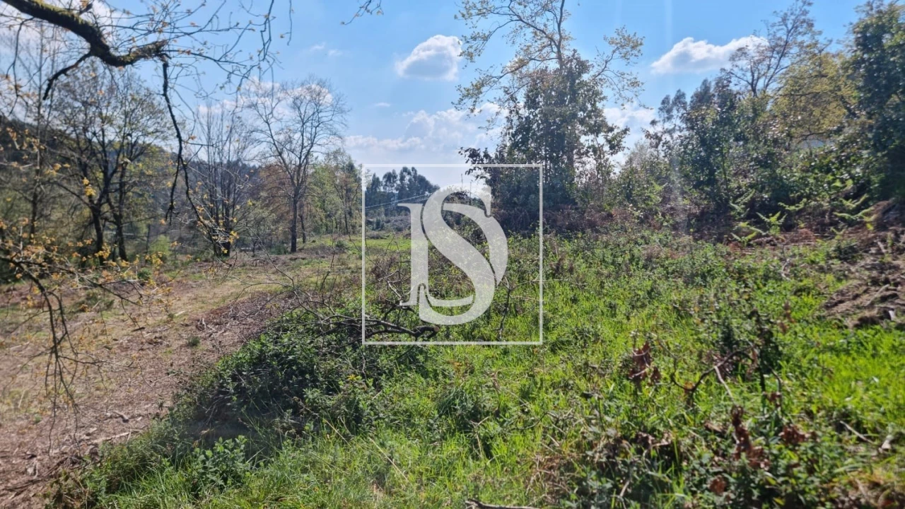 Terreno para Venda em Calvos e Frades Foto 53