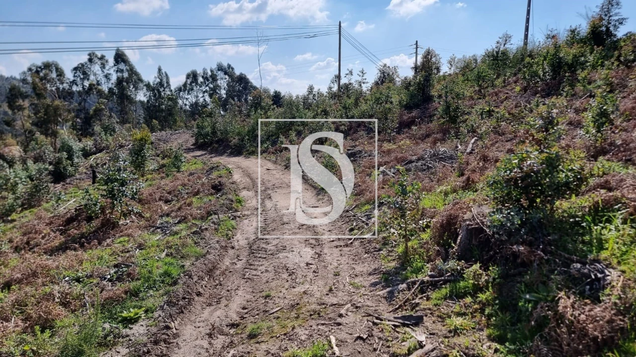 Terreno para Venda em Calvos e Frades Foto 15