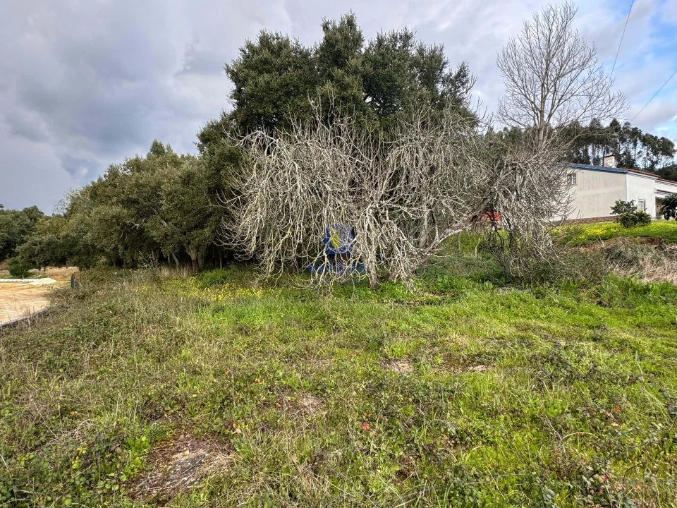 Terreno Agricola ou Rústico para Venda em Rio Maior Foto 9
