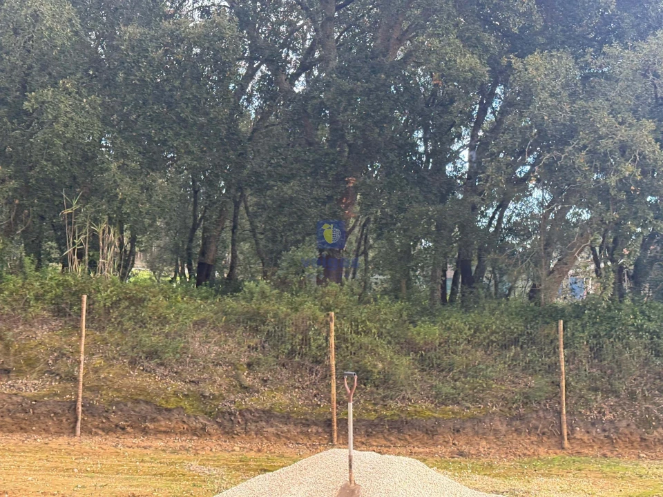 Terreno Agricola ou Rústico para Venda em Rio Maior Foto 10