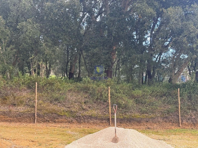 Terreno Agricola ou Rústico para Venda em Rio Maior