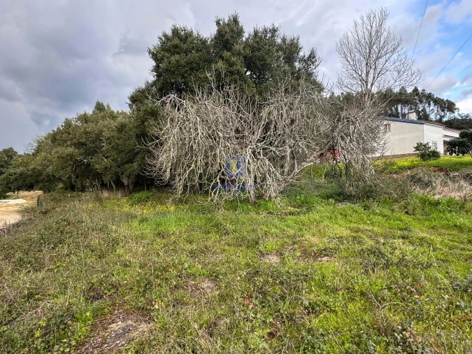 Terreno Agricola ou Rústico para Venda em Rio Maior Foto 4