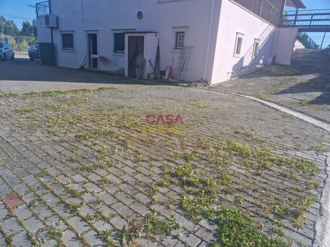 Negócio para Venda em Asseiceira Foto 14