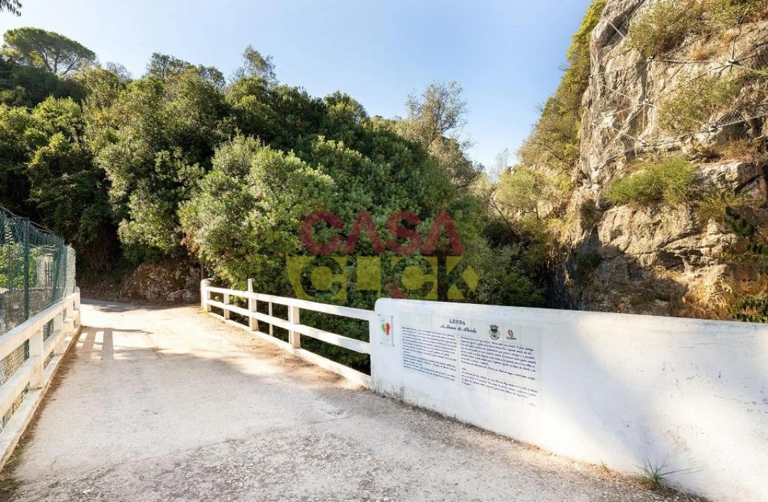 Negócio para Venda em Alcanena e Vila Moreira Foto 6