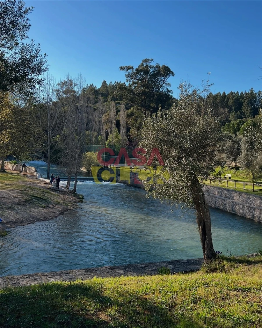 Negócio para Venda em Alcanena e Vila Moreira Foto 21