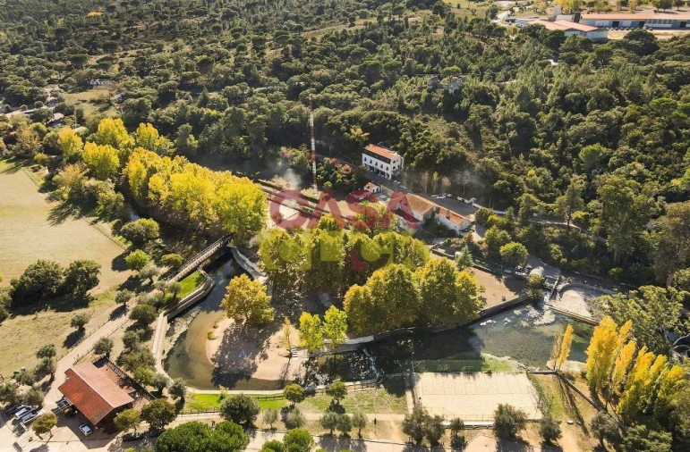 Negócio para Venda em Alcanena e Vila Moreira Foto 35