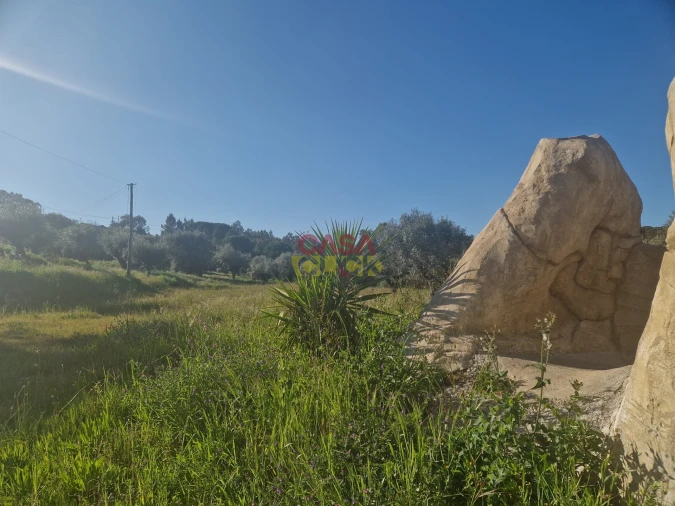 Loja para Venda em Asseiceira Foto 23