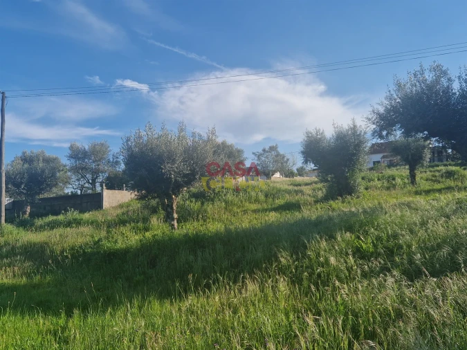 Loja para Venda em Asseiceira Foto 7