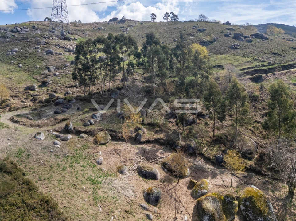 Terreno Agricola ou Rústico para Venda em Louredo Foto 5