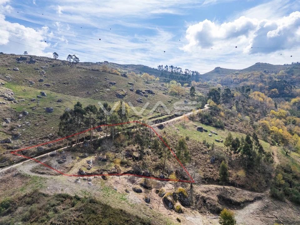 Terreno Agricola ou Rústico para Venda em Louredo Foto 12
