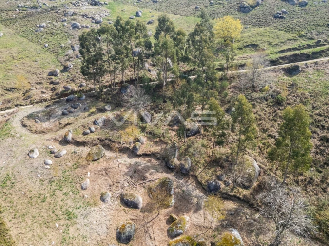 Terreno Agricola ou Rústico para Venda em Louredo Foto 9