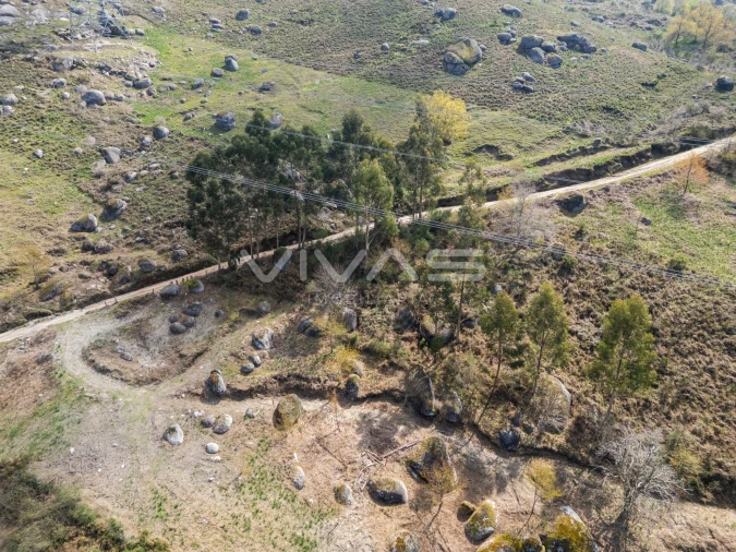 Terreno Agricola ou Rústico para Venda em Louredo Foto 8