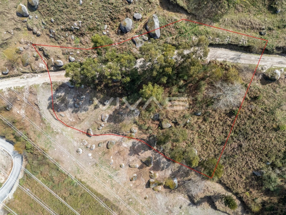 Terreno Agricola ou Rústico para Venda em Louredo Foto 13