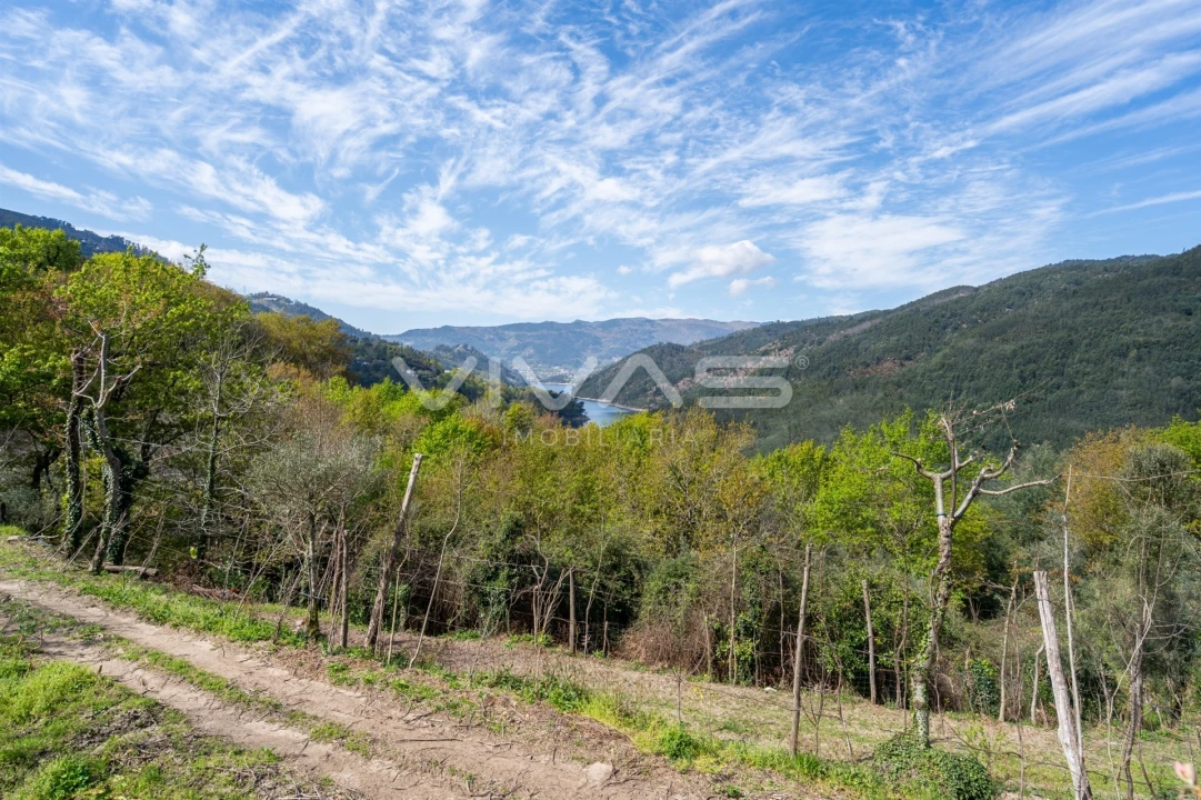 Terreno Agricola ou Rústico para Venda em Louredo Foto 18