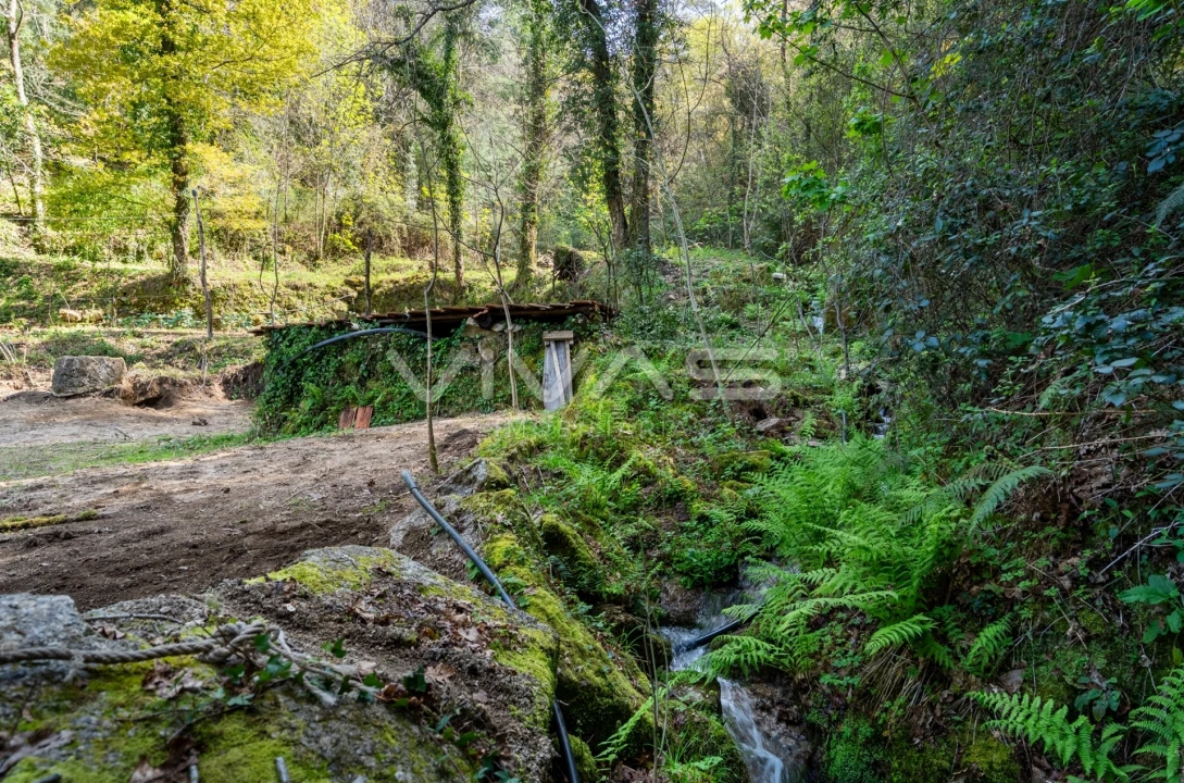 Terreno Agricola ou Rústico para Venda em Louredo Foto 16