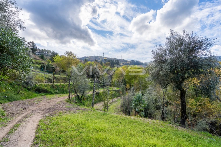 Terreno Agricola ou Rústico para Venda em Louredo Foto 19