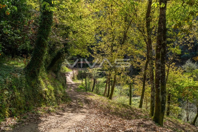 Terreno Agricola ou Rústico para Venda em Louredo Foto 4
